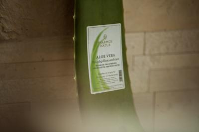 Vorschau des Gutschein-Designs 