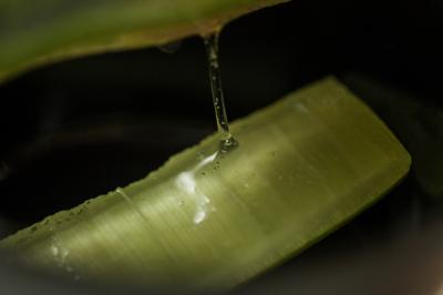 Vorschau des Gutschein-Designs 